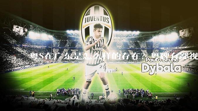 粤S在广东是怎么样的存在？粤牌有鄙视链吗？