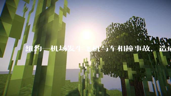 纽约一机场发生飞机与车相撞事故，造成多人受伤，机场暂时关闭_庞巴迪_时讯_消息