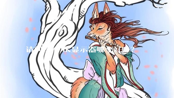 请问27寸4K显示器哪个好呀？